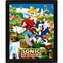 Sonic The Hedgehog Framed 3d Picture