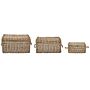 Set Of 3 Baskets Natural Rattan With Rope Handles And Lids Handmade Mahogany Frame