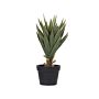 Artificial Potted Aloe Vera Green And Black Synthetic 52 Cm Material