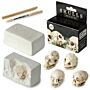 Fun Excavation Dig It Out Kit - Human Skull