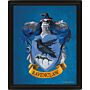 Harry Potter Ravenclaw Framed 3d Picture