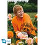 Ed Sheeran Poster Field 90