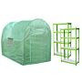 Polytunnel 19mm 3m X 2m With Racking