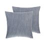 Set Of 2 Decorative Cushions Grey Chevron Pattern 45 X 45 Cm Geometric