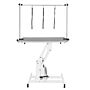 White Hydraulic Grooming Table - Grey Table Top