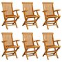 Vidaxl Folding Garden Chairs 6 Pcs Solid Teak Wood