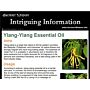 Ylang Ylang Essential Oil Info