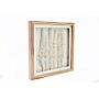 White Pampas In Square Frame 31cm