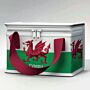 Wales Welsh Cymru Rpet Cool Bag