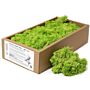 Decoration Reindeer Moss - Light Grass - (approx 500gm)