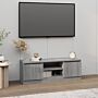 Vidaxl Tv Cabinet With Door Grey Sonoma 102x30x36 Cm