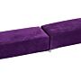 Homcom Balance Beam Trainer, 2.4 M-purple