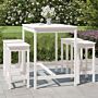 Vidaxl 5 Piece Garden Bar Set White Solid Wood Pine