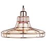 Pendant Lamp Copper Cage Glass Shade Antique Vintage Style Ceiling Light