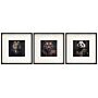 Set Of 3 Jungle Animal Head Prints Picture Art 40x40cm