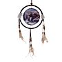 Dreamcatcher (small) - Lisa Parker Alliance Dragon & Wolf