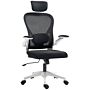 Homcom Executive Office Chair, Ergonomic Mesh High Back Desk Chair With Flip-up Armrest, Rotatable Headrest, Adjustable Lumbar Support, Swivel Computer Chair For Home Study, Black