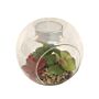 Succulent In Glass Terrarium With Tealight Holder