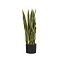 Artificial Potted Snake Plant Green And Black Synthetic Material 63 Cm