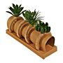 Set Of 4 Faux Succulent Design Napkin Rings