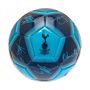 Tottenham Hotspur Fc Signature Skill Ball