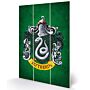 Harry Potter Slytherin Wood Print