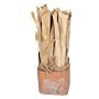 Fox Tail Dried Grass Bouquet In Terracotta Pot