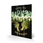 Harry Potter Expecto Patronum Wood Print