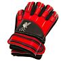 Liverpool Fc Delta Goalkeeper Gloves Kids