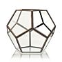 Glass Terrarium - Large Octagon