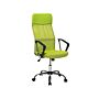 Executive Office Chair Green Mesh And Faux Leather Gas Lift Height Adjustable Full Swivel And Tilt