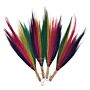 Set 4 - Pampas Broom - Rainbow Colours