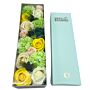 Long Box - Spring Celibrations - Yellow & Greens