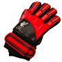 Liverpool Fc Delta Goalkeeper Gloves Yths