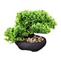 Eastern Faux Bonsai Tree In Boxwood Style