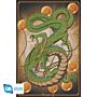 Dragon Ball Z Poster Shenron 79