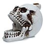 Skull With Open Mouth Backflow Incense Burner