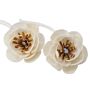 Natural Diffuser Flowers - Small Poppy On String - Pack Of 12