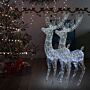 Vidaxl Xxl Acrylic Christmas Reindeers 250 Led 2 Pcs 180 Cm Cold White