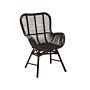 Accent Chair Brown Rattan Indoor Dining Side Chair Living Room Furniture High Backrest