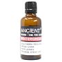 Wintergreen Essential Oil 50ml