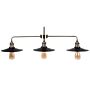 Hanging Lamp 3-light Track Black Round Shades Metal