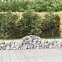 Vidaxl Arched Gabion Baskets 8 Pcs 200x30x40/60 Cm Galvanised Iron