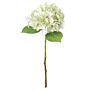 Shabby Green Single Hydrangea