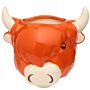 Decorative Ceramic Indoor Wall Planter/plant Pot - Highland Coo Cow