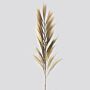 Dried Rayung Grass Blond - 2m