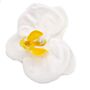 Craft Soap Flower - Paeonia - White - Pack Of 10