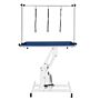 White Hydraulic Grooming Table - Blue Table Top