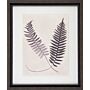 Vintage Fern Study Iii