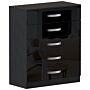 Hulio 5 Drawer Chest, Black